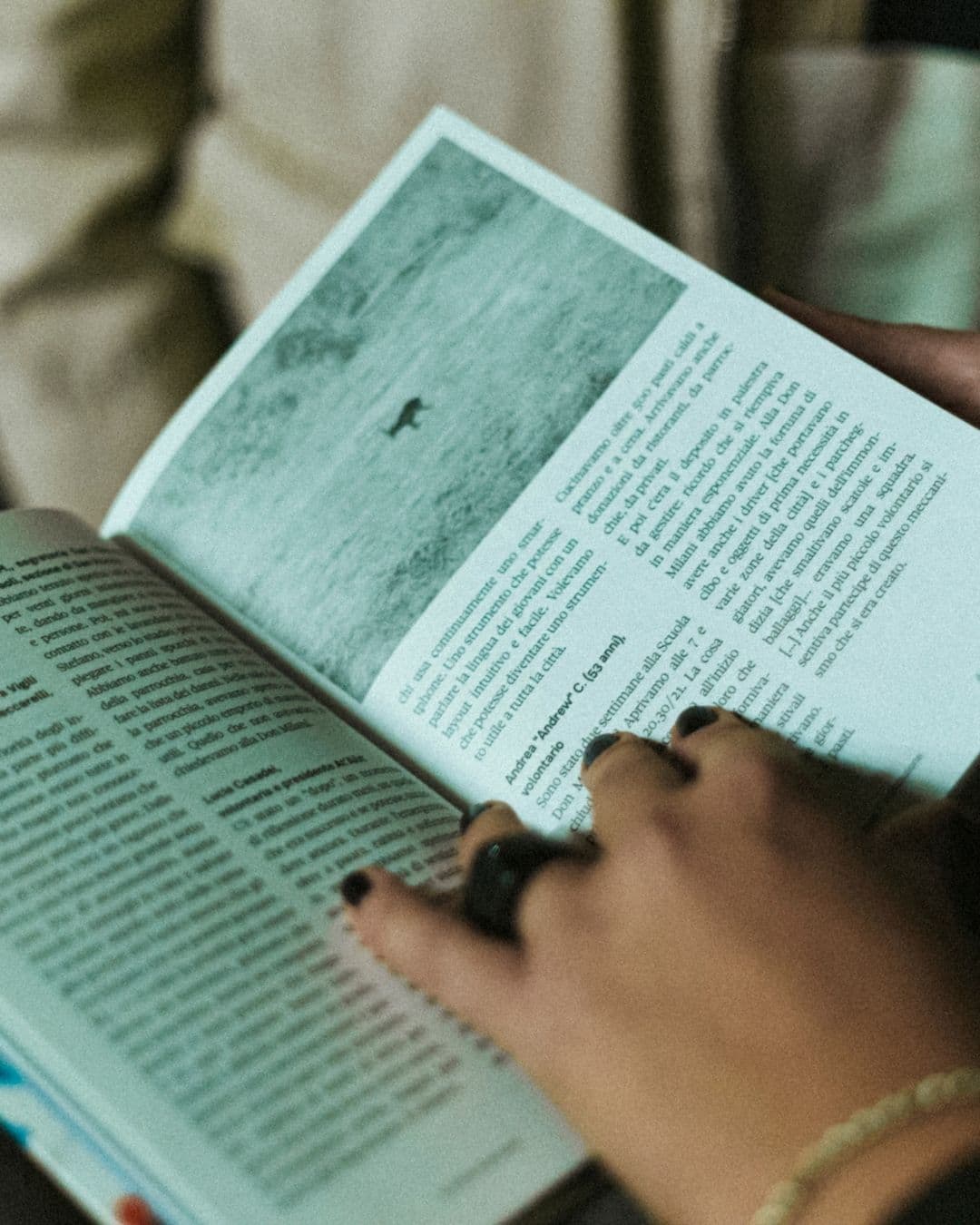 Bookclub: Queerfem